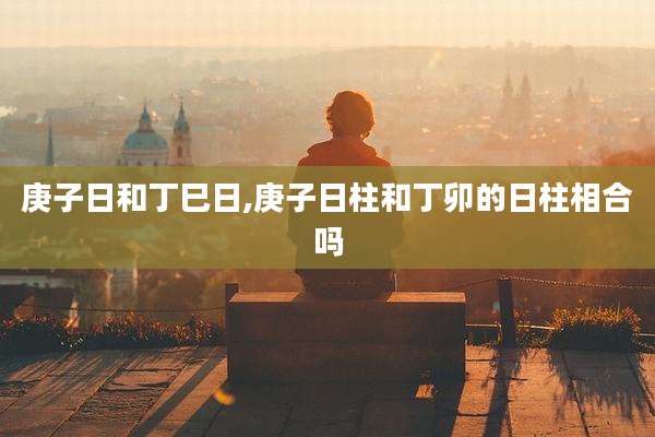 庚子日和丁巳日,庚子日柱和丁卯的日柱相合吗
