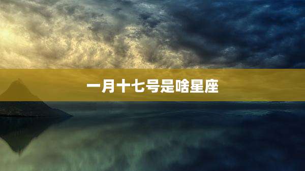一月十七号是啥星座