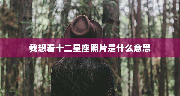 我想看十二星座照片是什么意思