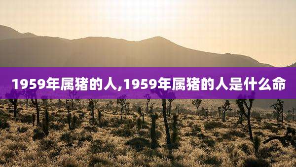 1959年属猪的人,1959年属猪的人是什么命
