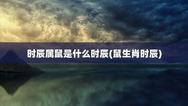 时辰属鼠是什么时辰(鼠生肖时辰)