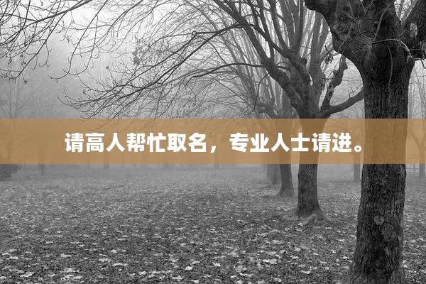 请高人帮忙取名，专业人士请进。