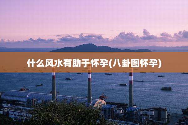 什么风水有助于怀孕(八卦图怀孕)