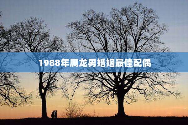 1988年属龙男婚姻最佳配偶