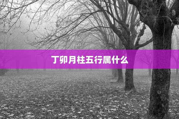 丁卯月柱五行属什么