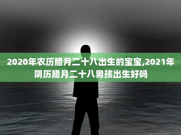 2020年农历腊月二十八出生的宝宝,2021年阴历腊月二十八男孩出生好吗