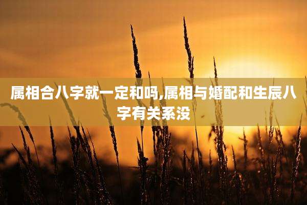 属相合八字就一定和吗,属相与婚配和生辰八字有关系没