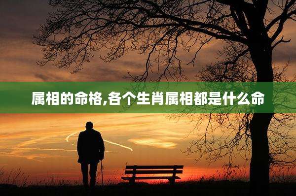 属相的命格,各个生肖属相都是什么命