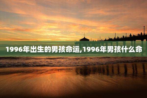 1996年出生的男孩命运,1996年男孩什么命