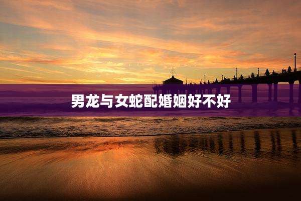 男龙与女蛇配婚姻好不好