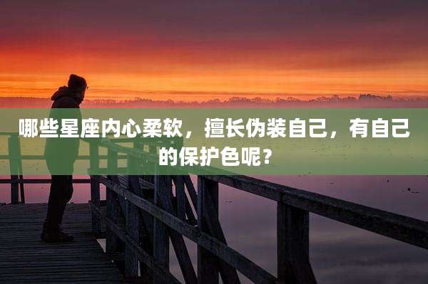 哪些星座内心柔软，擅长伪装自己，有自己的保护色呢？