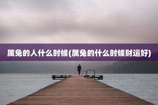 属兔的人什么时候(属兔的什么时候财运好)