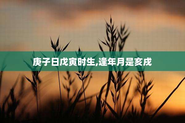 庚子日戊寅时生,逢年月是亥戌