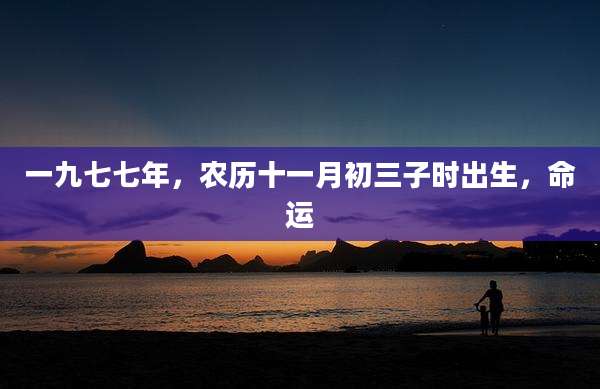 一九七七年,农历十一月初三子时出生,命运