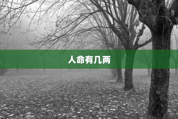 人命有几两