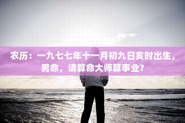 农历：一九七七年十一月初九日亥时出生，男命，请算命大师算事业？