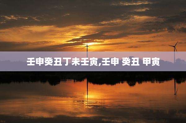 壬申癸丑丁未壬寅,壬申 癸丑 甲寅