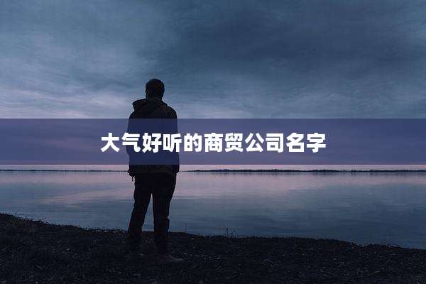 大气好听的商贸公司名字