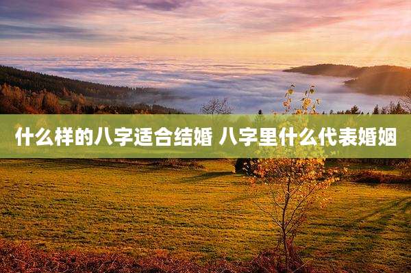 什么样的八字适合结婚 八字里什么代表婚姻
