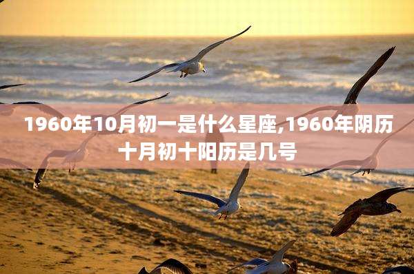 1960年10月初一是什么星座,1960年阴历十月初十阳历是几号