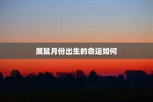 属鼠月份出生的命运如何