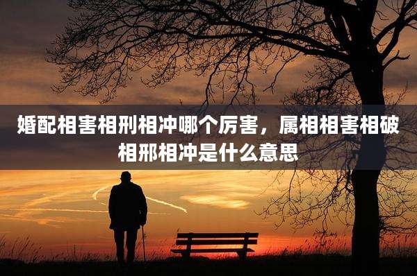 婚配相害相刑相冲哪个厉害，属相相害相破相邢相冲是什么意思