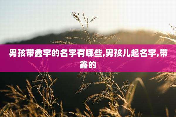 男孩带鑫字的名字有哪些,男孩儿起名字,带鑫的