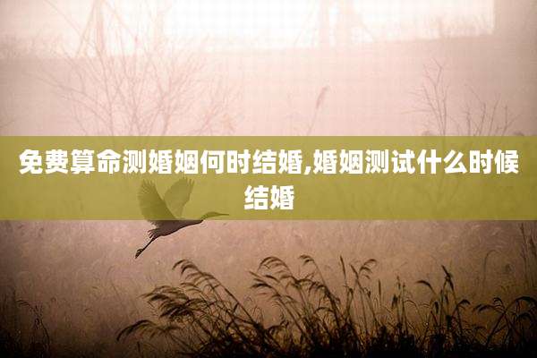 免费算命测婚姻何时结婚,婚姻测试什么时候结婚