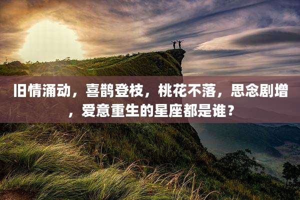 旧情涌动，喜鹊登枝，桃花不落，思念剧增，爱意重生的星座都是谁？