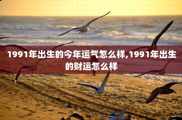 1991年出生的今年运气怎么样,1991年出生的财运怎么样