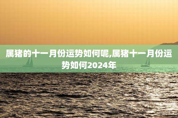 属猪的十一月份运势如何呢,属猪十一月份运势如何2024年