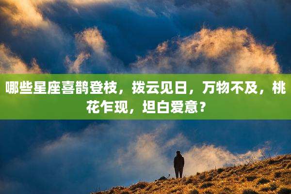 哪些星座喜鹊登枝，拨云见日，万物不及，桃花乍现，坦白爱意？
