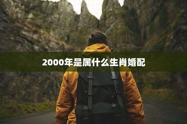 2000年是属什么生肖婚配