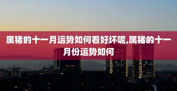 属猪的十一月运势如何看好坏呢,属猪的十一月份运势如何