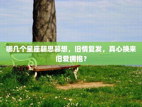 哪几个星座朝思暮想,旧情复发,真心换来旧爱拥抱?