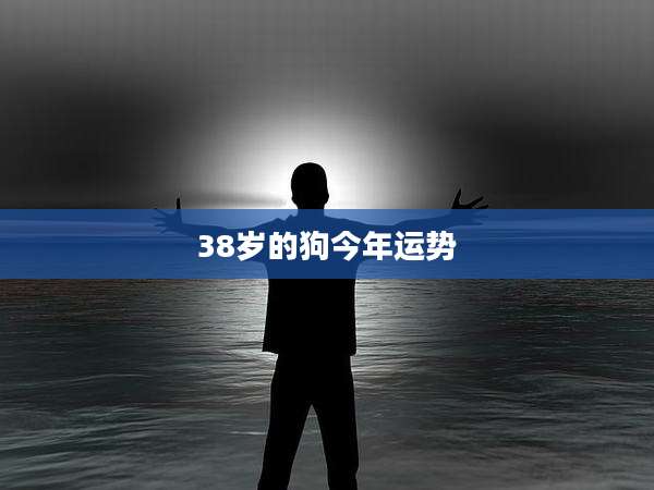 38岁的狗今年运势
