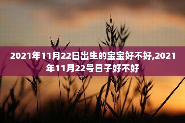 2021年11月22日出生的宝宝好不好,2021年11月22号日子好不好