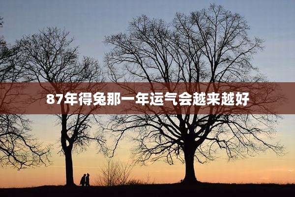 87年得兔那一年运气会越来越好