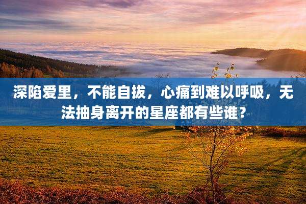 深陷爱里,不能自拔,心痛到难以呼吸,无法抽身离开的星座都有些谁?