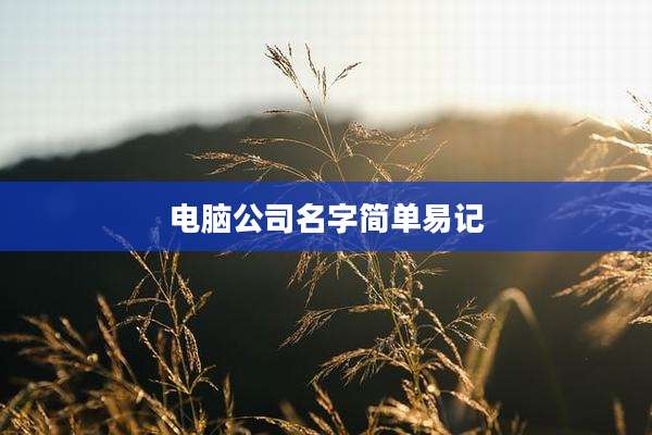 电脑公司名字简单易记