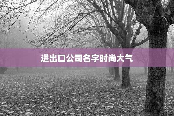 进出口公司名字时尚大气