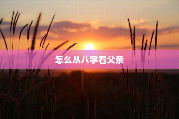 怎么从八字看父亲