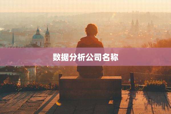 数据分析公司名称
