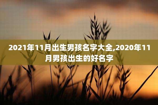 2021年11月出生男孩名字大全,2020年11月男孩出生的好名字