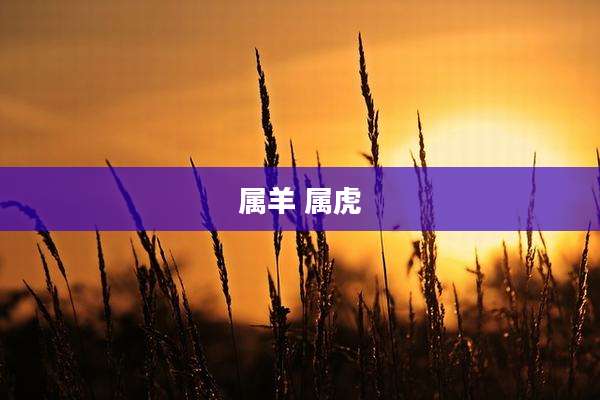 属羊 属虎
