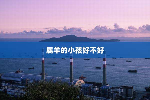 属羊的小孩好不好