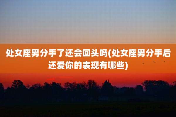 处女座男分手了还会回头吗(处女座男分手后还爱你的表现有哪些)