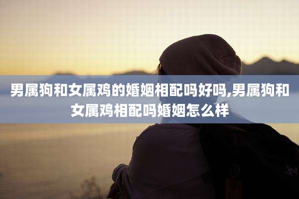男属狗和女属鸡的婚姻相配吗好吗,男属狗和女属鸡相配吗婚姻怎么样