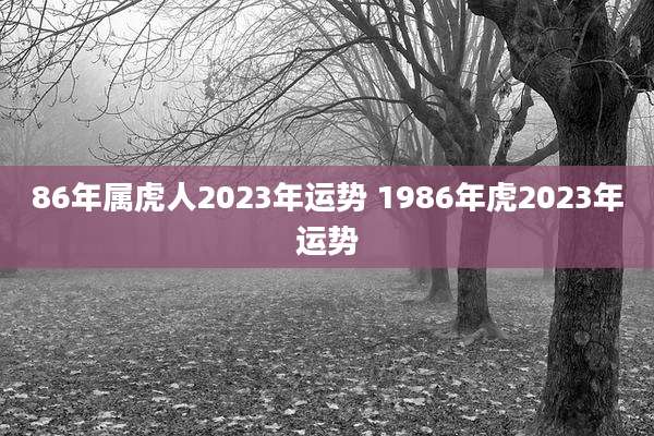 86年属虎人2023年运势 1986年虎2023年运势