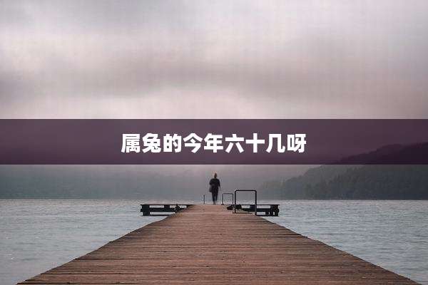 属兔的今年六十几呀